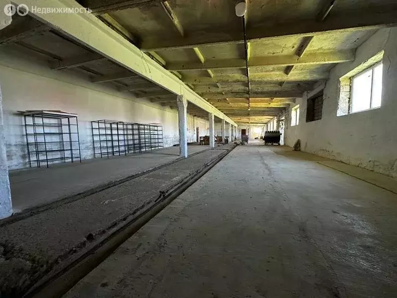 Склад (900 м) - Фото 1