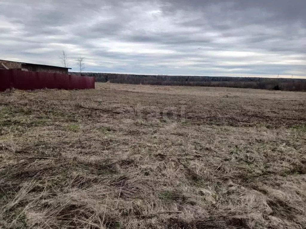 Участок в Вологодская область, д. Токарево (Спасский сельсовет) пер. ... - Фото 2