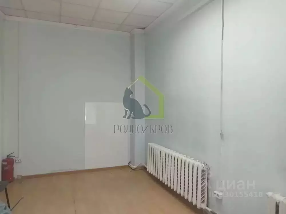 Офис в Самарская область, Сызрань ул. Кирова, 46 (38 м) - Фото 1