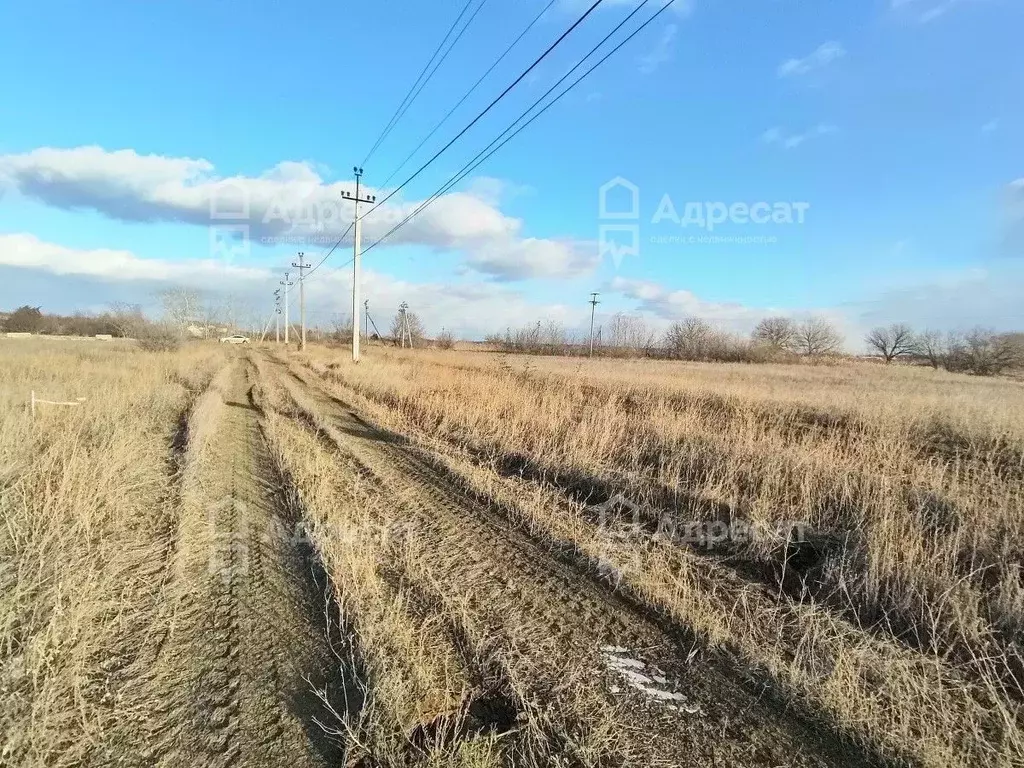 Участок в Волгоградская область, Среднеахтубинский район, Куйбышевское ... - Фото 1