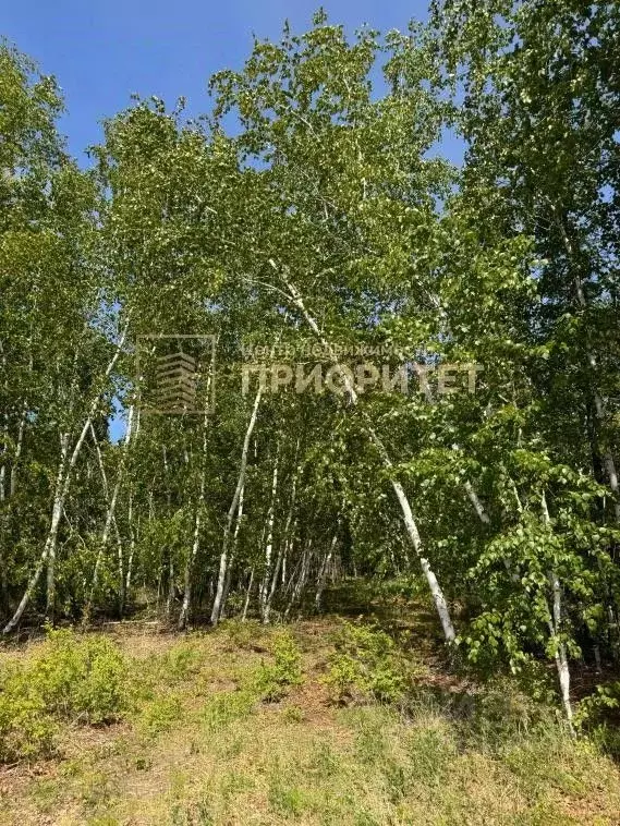Участок в Саха (Якутия), Горный улус, с. Бердигестях  (700.0 сот.) - Фото 2