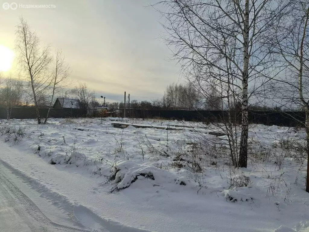 Участок в Копейск, СНТ Берёзка-4 (9 м) - Фото 1