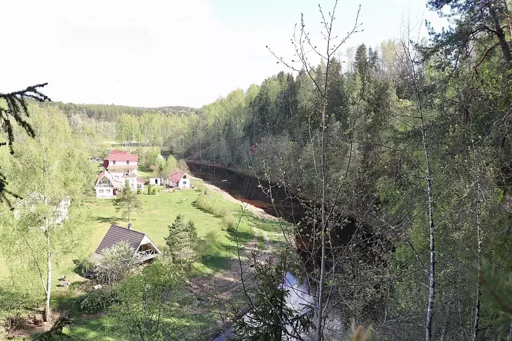 Дом в Ленинградская область, Волосовский район, Сабское с/пос, д. ... - Фото 2