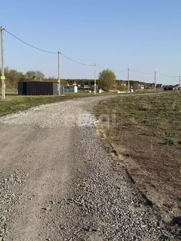 Участок в Воронежская область, Хохольский район, Новогремяченское ... - Фото 1