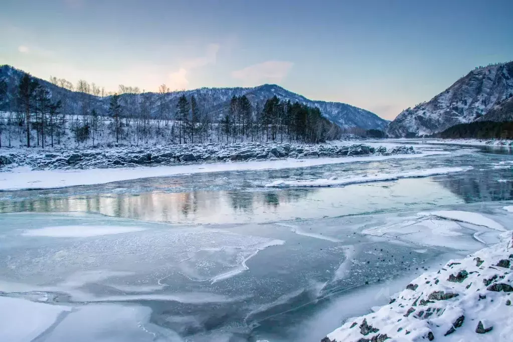 Участок в Алтай, Чемальский район, с. Анос Центральная ул., 41 (16.0 ... - Фото 1