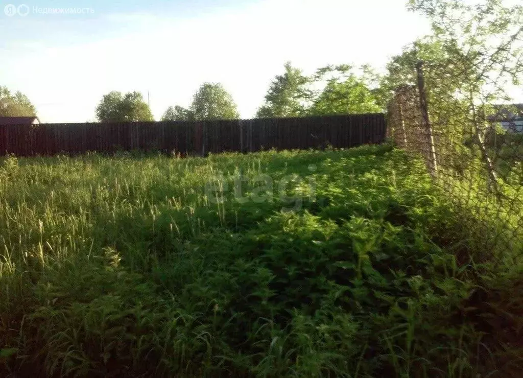 Участок в Сергиево-Посадский городской округ, деревня Березняки (15 м) - Фото 2