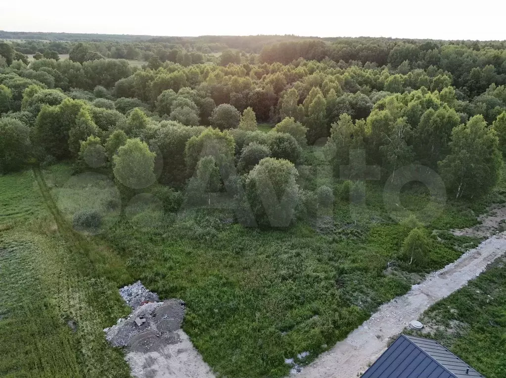 Участок 6 сот. (ИЖС) - Фото 0