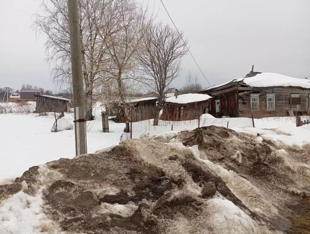 Участок в Пермский край, Пермский муниципальный округ, с. Платошино ... - Фото 2