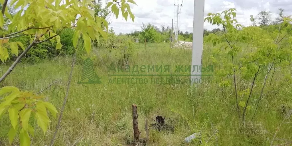 Участок в Саратовская область, Маркс Березовая ул., 2 (6.0 сот.) - Фото 1