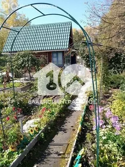 Участок в Новосибирский район, Кудряшовский сельсовет, СНТ Семицвет, ... - Фото 1