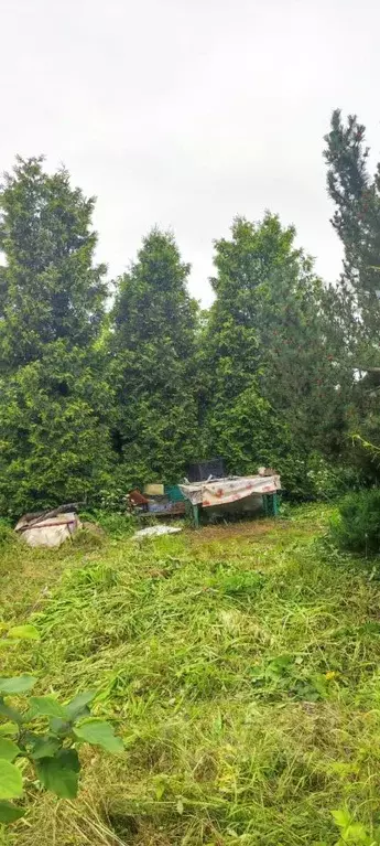 Участок в Санкт-Петербург, Санкт-Петербург, Красное Село Пушкинское ш. ... - Фото 1