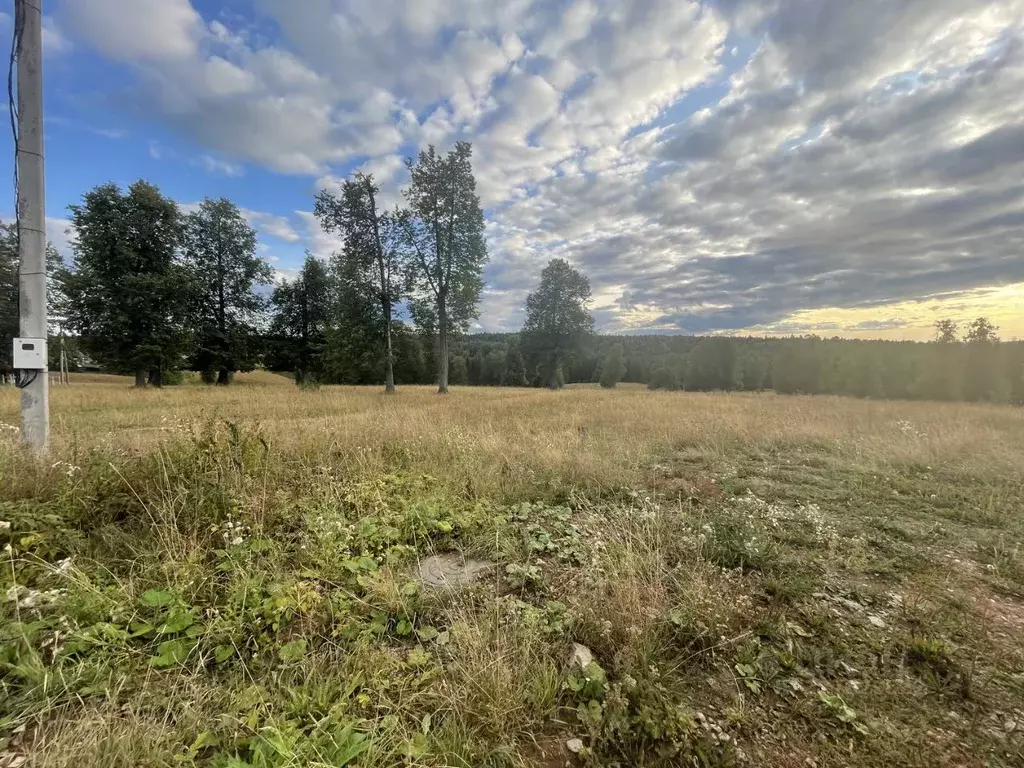 Участок в Пермский край, Добрянский муниципальный округ, пос. Дивья ... - Фото 1