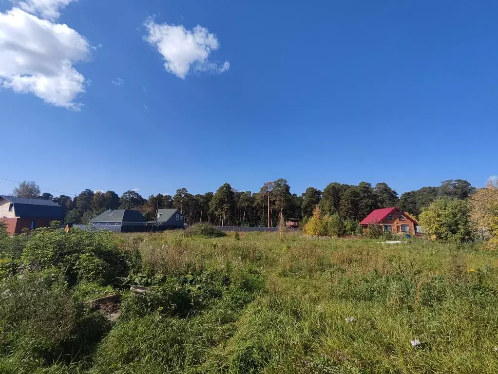 Участок в Омская область, Омский район, Новотроицкое с/пос, с. ... - Фото 1