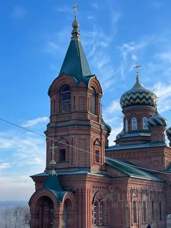 Участок в Воронежская область, Рамонский район, Новоживотинновское ... - Фото 1