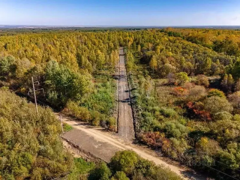 Участок в Хабаровский край, Хабаровский район, Мичуринское с/пос, с. ... - Фото 1