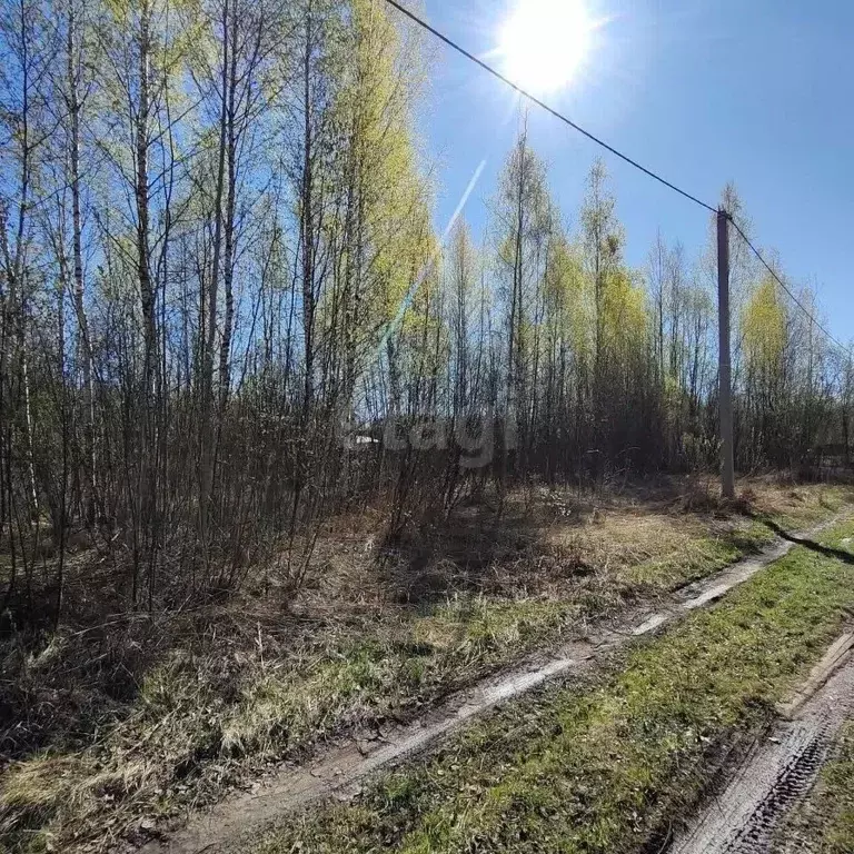 Участок в Вологодская область, Вологда Медик садоводческое ... - Фото 1