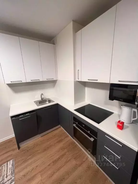 Студия Московская область, Люберцы городской округ, Мирный пгт ул. ... - Фото 1