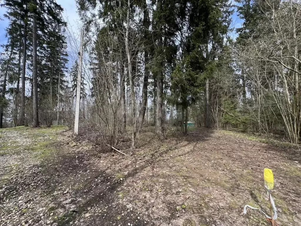 Участок в Московская область, Мытищи городской округ, пос. Трудовая, ... - Фото 1