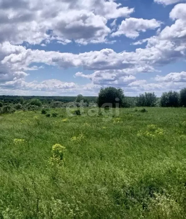 Участок в Кемеровская область, Киселевск  (15.0 сот.) - Фото 1