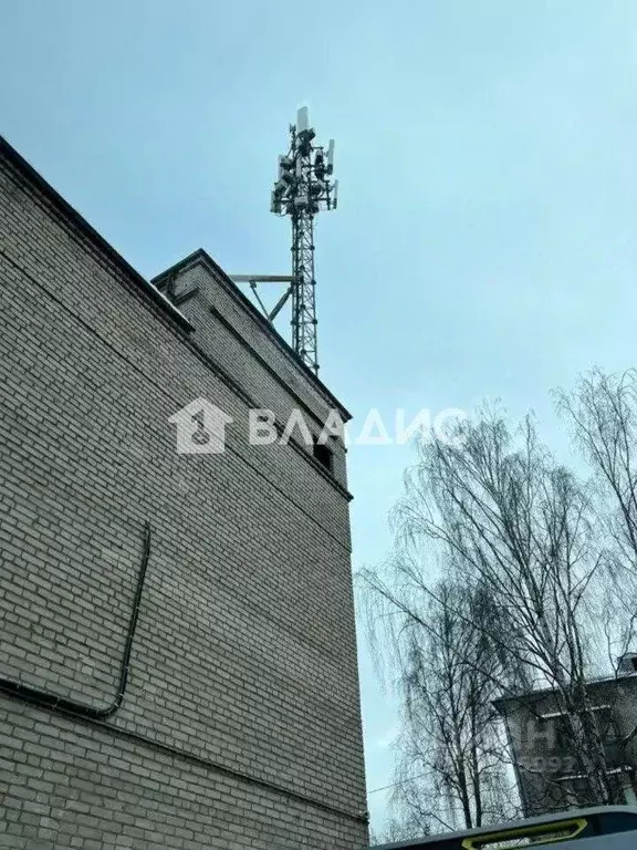 Помещение свободного назначения в Санкт-Петербург, Санкт-Петербург, ... - Фото 1
