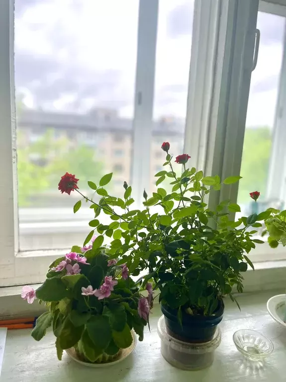 Продаётся 1-к квартира, 30.2 м - Фото 1