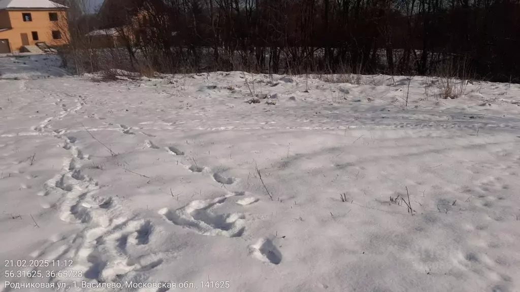 Участок в Московская область, Клин городской округ, д. Василево  (15.0 ... - Фото 0