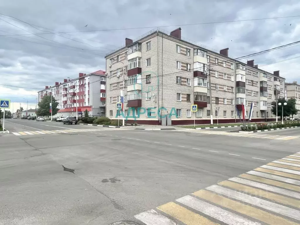 1-к кв. Белгородская область, Новый Оскол 1 Мая ул., 10 (29.4 м) - Фото 2