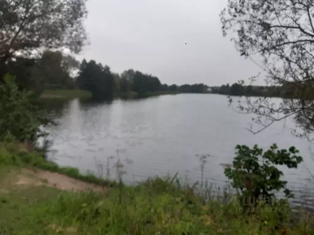 Участок в Московская область, Ступино городской округ, Калинушка СНТ ... - Фото 0