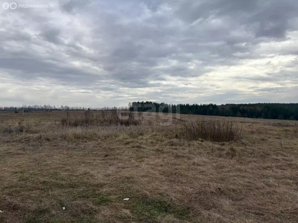 Участок в Лысые Горы, Советская улица (26.16 м) - Фото 1