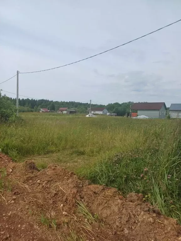 Участок в Новгородская область, Новгородский район, Борковское с/пос, ... - Фото 0