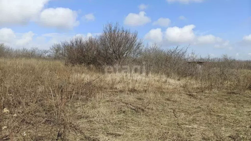 Участок в Белгородская область, Белгородский район, с. Стрелецкое, ... - Фото 0