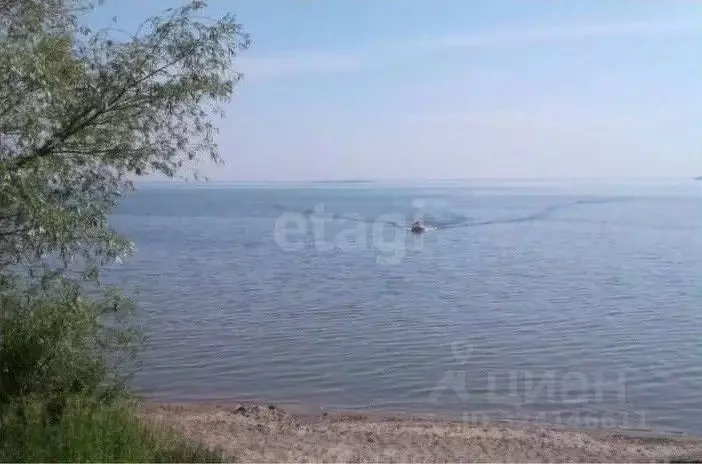 Участок в Новосибирская область, Новосибирский район, с. Боровое  ... - Фото 1