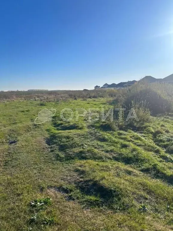 Участок в Тюменская область, Тюменский муниципальный округ, д. Тураева ... - Фото 2