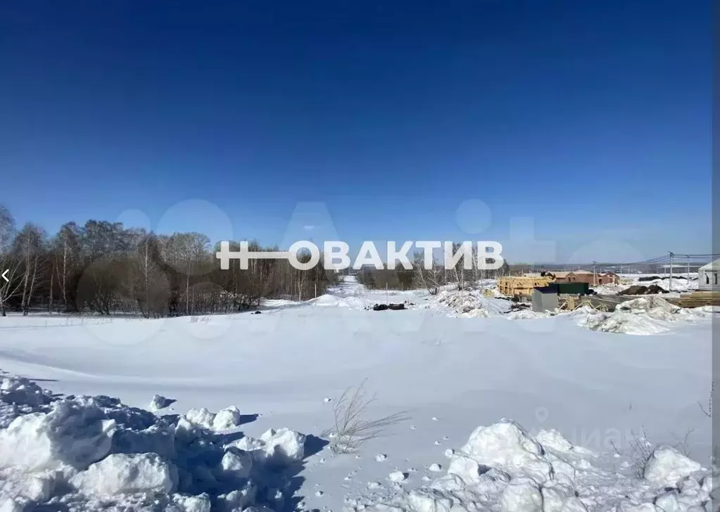 Участок в Новосибирская область, Новосибирский район, Каменский ... - Фото 0