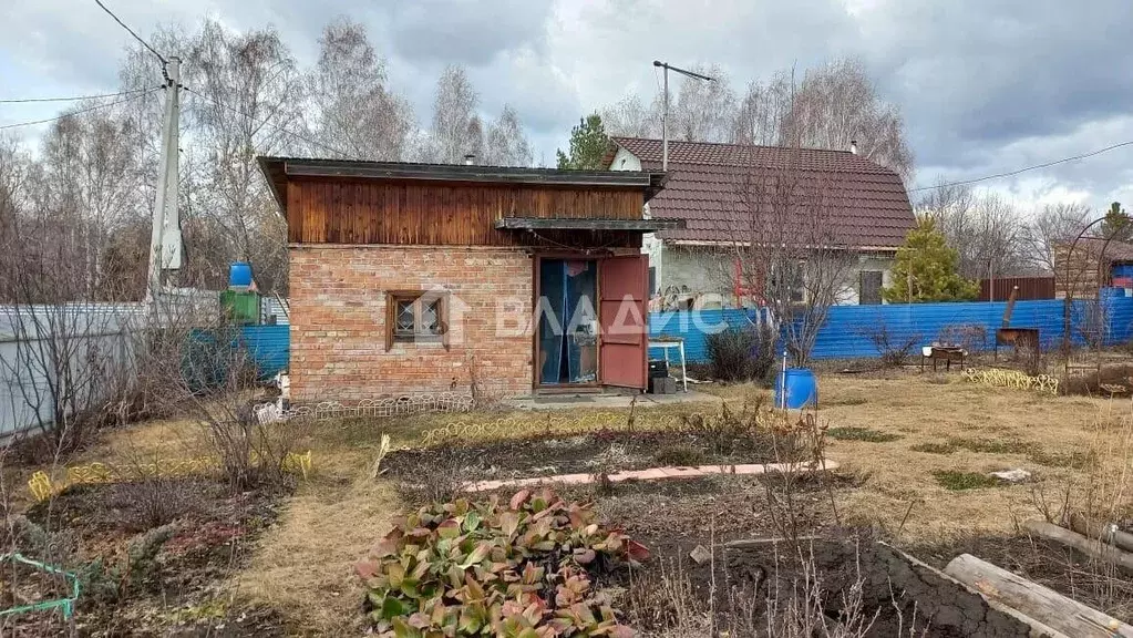 Участок в Новосибирская область, Новосибирский район, Мичуринский ... - Фото 1