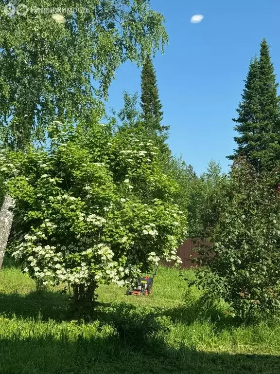 Участок в Томск, посёлок Родионово, улица Полянка (15 м) - Фото 0