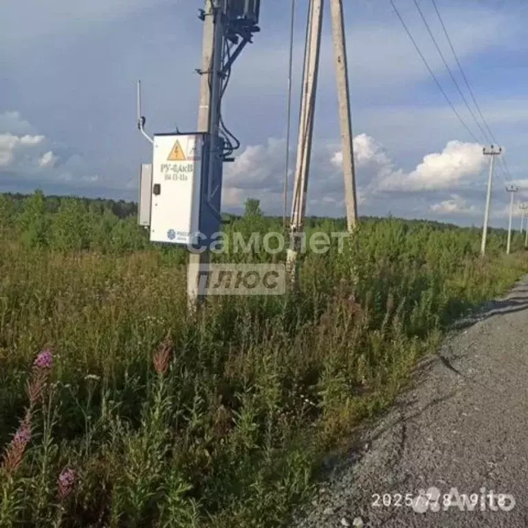 Участок в Тюменская область, Тюменский муниципальный округ, с. Кулига, ... - Фото 1