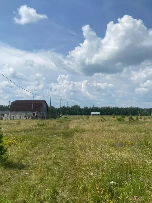 Участок в Свердловская область, Белоярский городской округ, с. ... - Фото 0