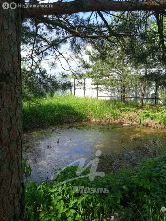 участок в богородский городской округ, а-107, горьковско-егорьевский . - Фото 1