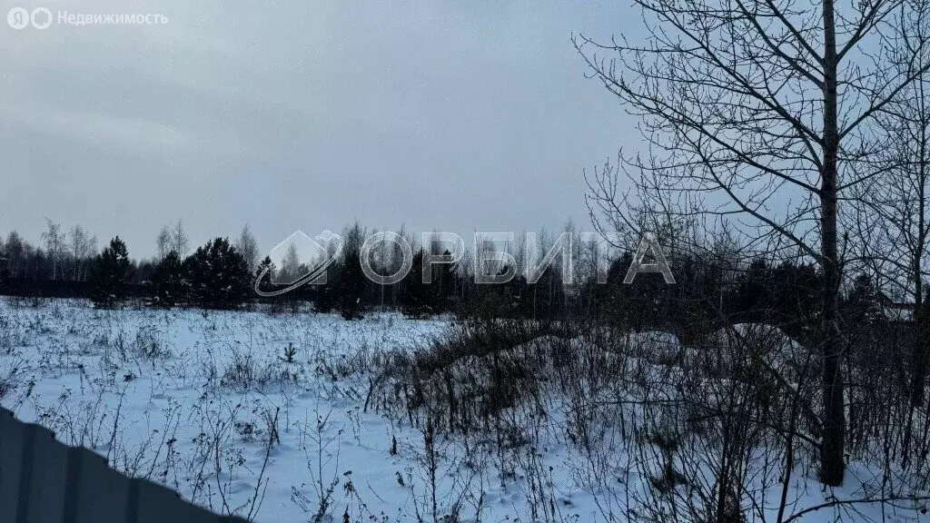 Участок в Тюмень, ДНП Звенящие Кедры Тюмени (50 м) - Фото 2