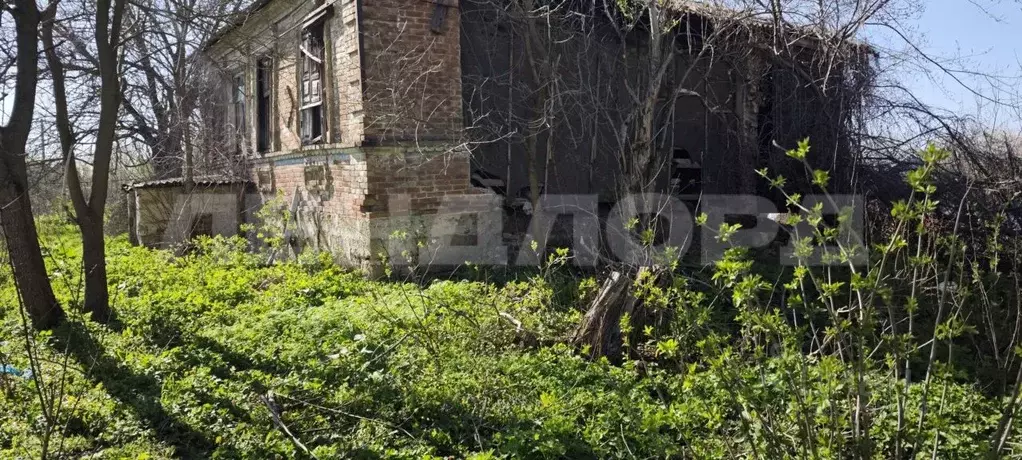 Участок в Ростовская область, Азовский район, Рогожкино хут. ... - Фото 2