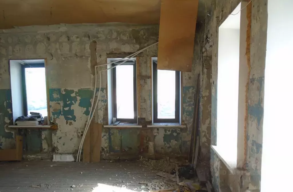 Помещение свободного назначения в Новосибирская область, Новосибирск ... - Фото 1