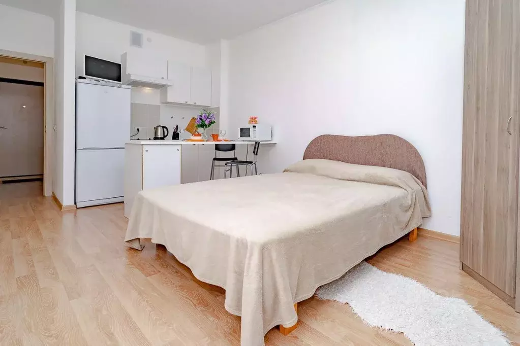 Студия Санкт-Петербург ул. Адмирала Черокова, 20 (24.0 м) - Фото 1