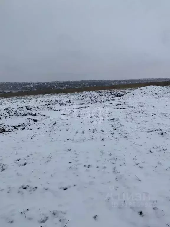 Участок в Белгородская область, Белгородский район, Головинское с/пос, ... - Фото 1