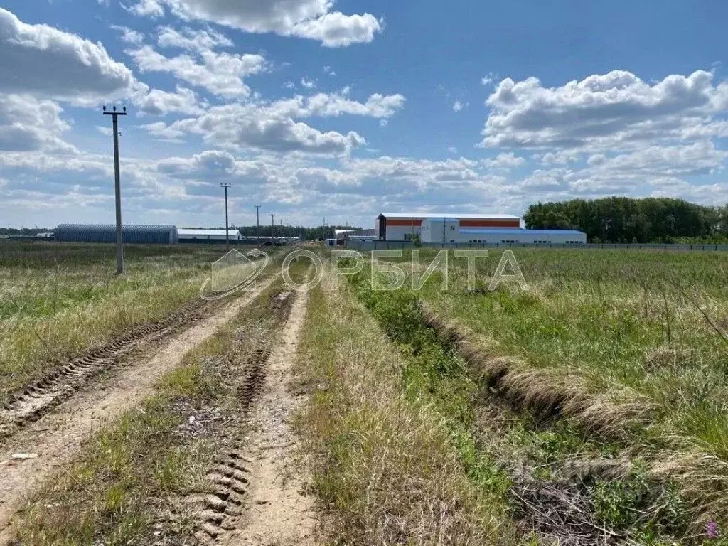 Участок в Тюменская область, Тюменский муниципальный округ, ... - Фото 1