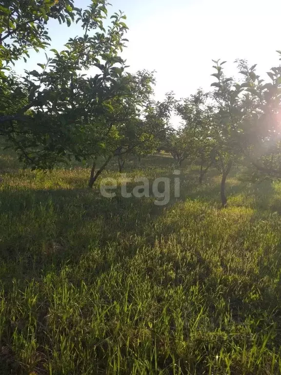 Участок в Краснодарский край, Анапа муниципальный округ, пос. Верхнее ... - Фото 1