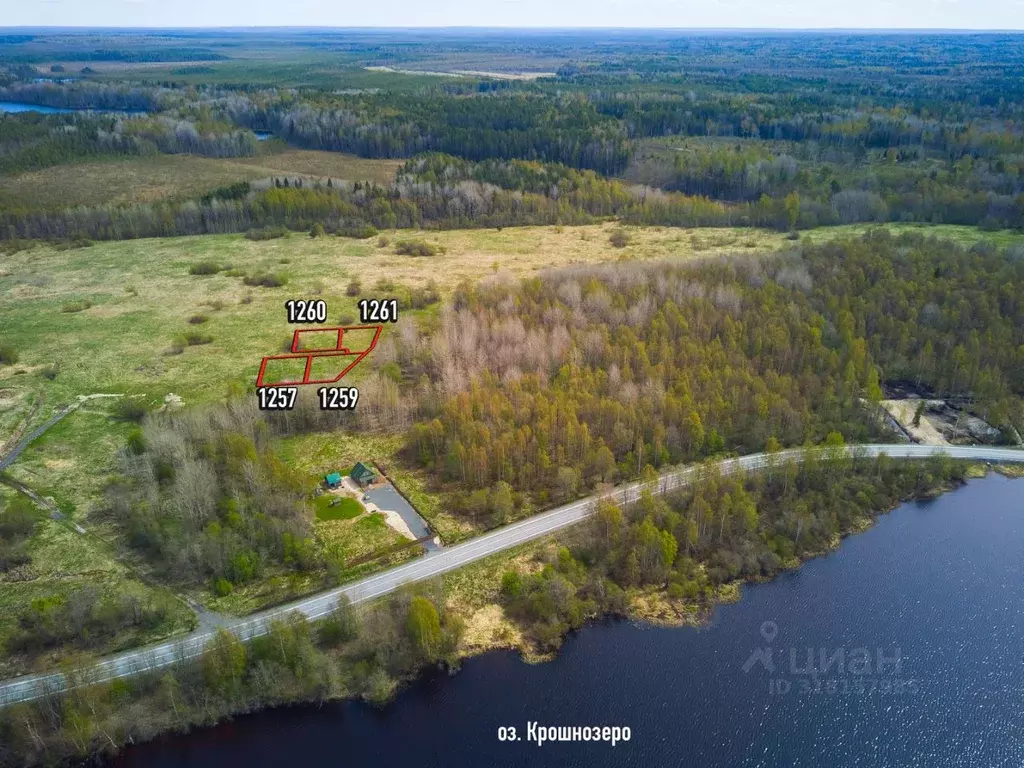 Участок в Карелия, Пряжинский район, Крошнозерское с/пос  (10.0 сот.) - Фото 1