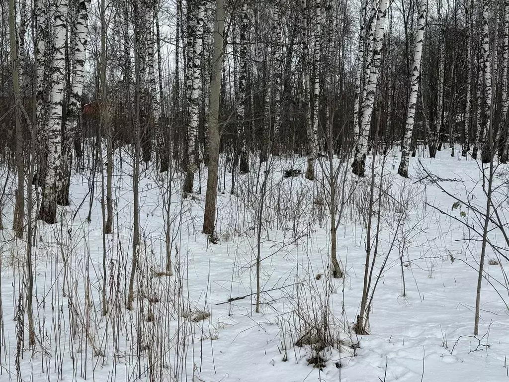 Участок в Московская область, Богородский городской округ, имени ... - Фото 0