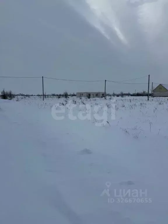 Участок в Воронежская область, Каширский район, Дзержинское с/пос, ... - Фото 2