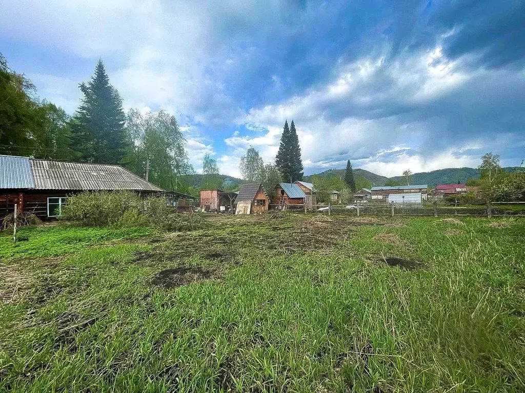 Участок в Алтайский край, Алтайский район, пос. Катунь ... - Фото 0